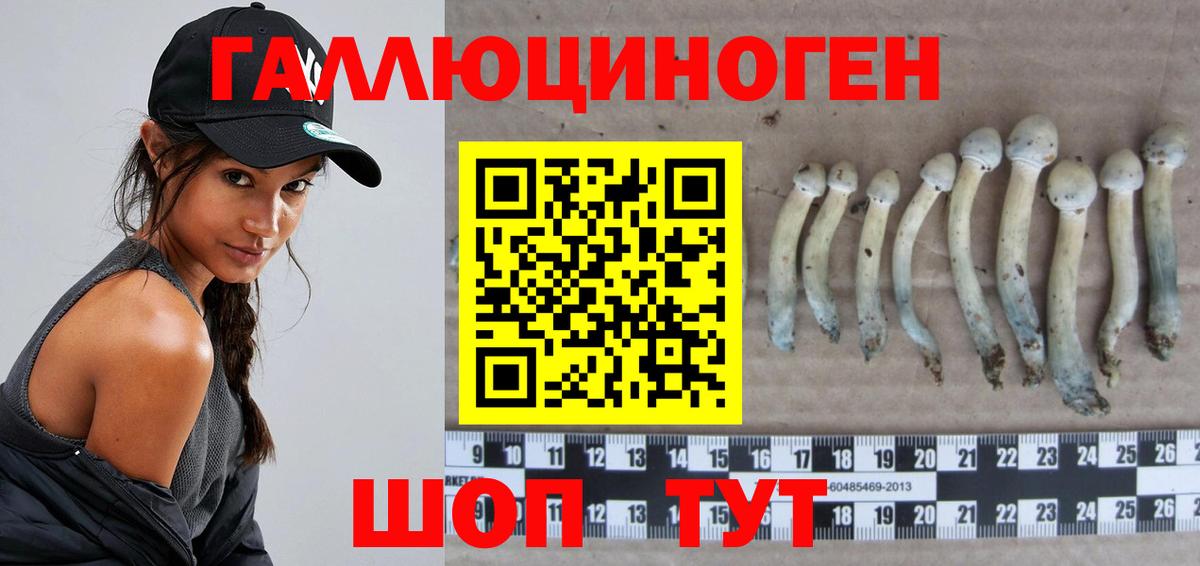 Псилоцибиновые грибы Psilocybe  Вход с VPN  Орехово-Зуево 